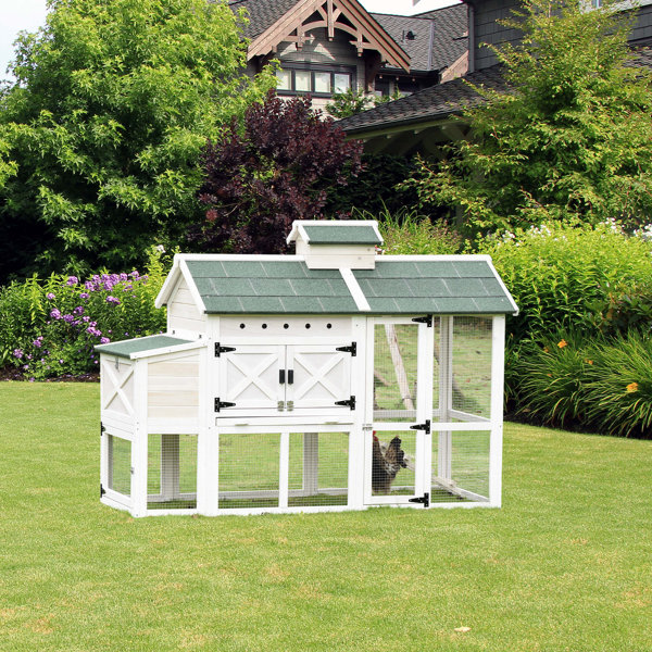 Pawhut Chicken Coop with Nesting Box Wayfair